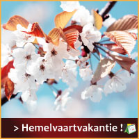 Hemelvaartvakantie Belgie - Datum Berekening en Recente Artikelen via www.feestdagen-belgie.be