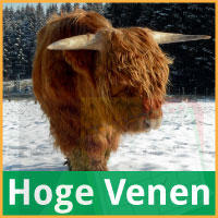 Winter Hoge Venen via www.feestdagen-belgie.be