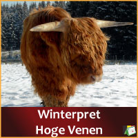 Winterpracht Hoge Venen via www.feestdagen-belgie.be